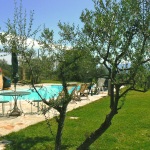 Ferienhaus Toskana TOH423 - Garten mit Pool
