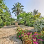 Ferienhaus Mallorca MA3520 Garten mit Palmen und Bueschen